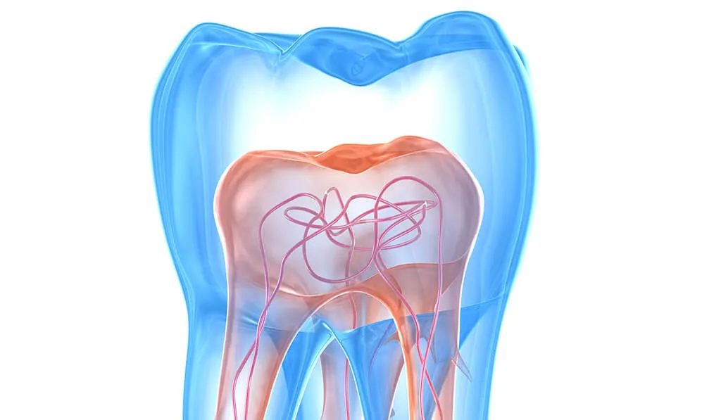 Endodonzia